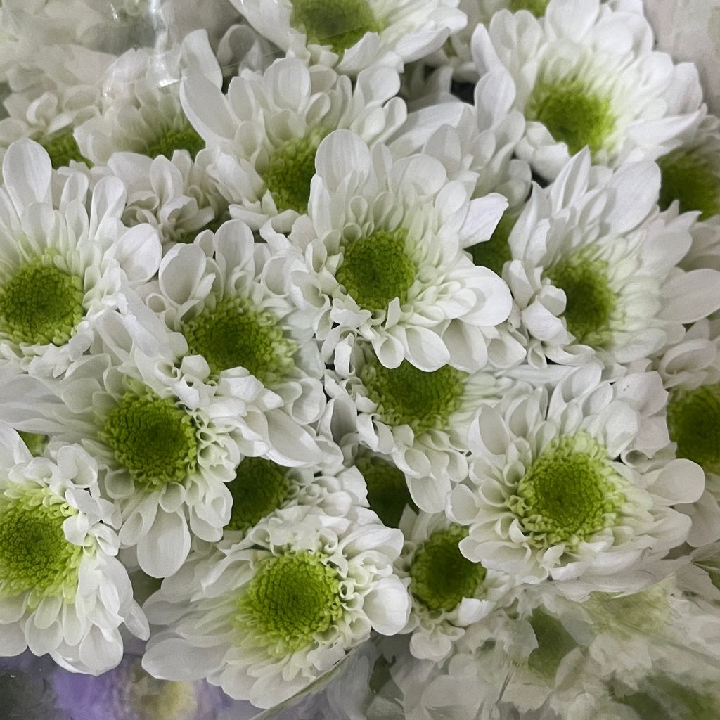 image_A1D63588-D32D-4BD2-8BDF-791FA7C52939_1772437599