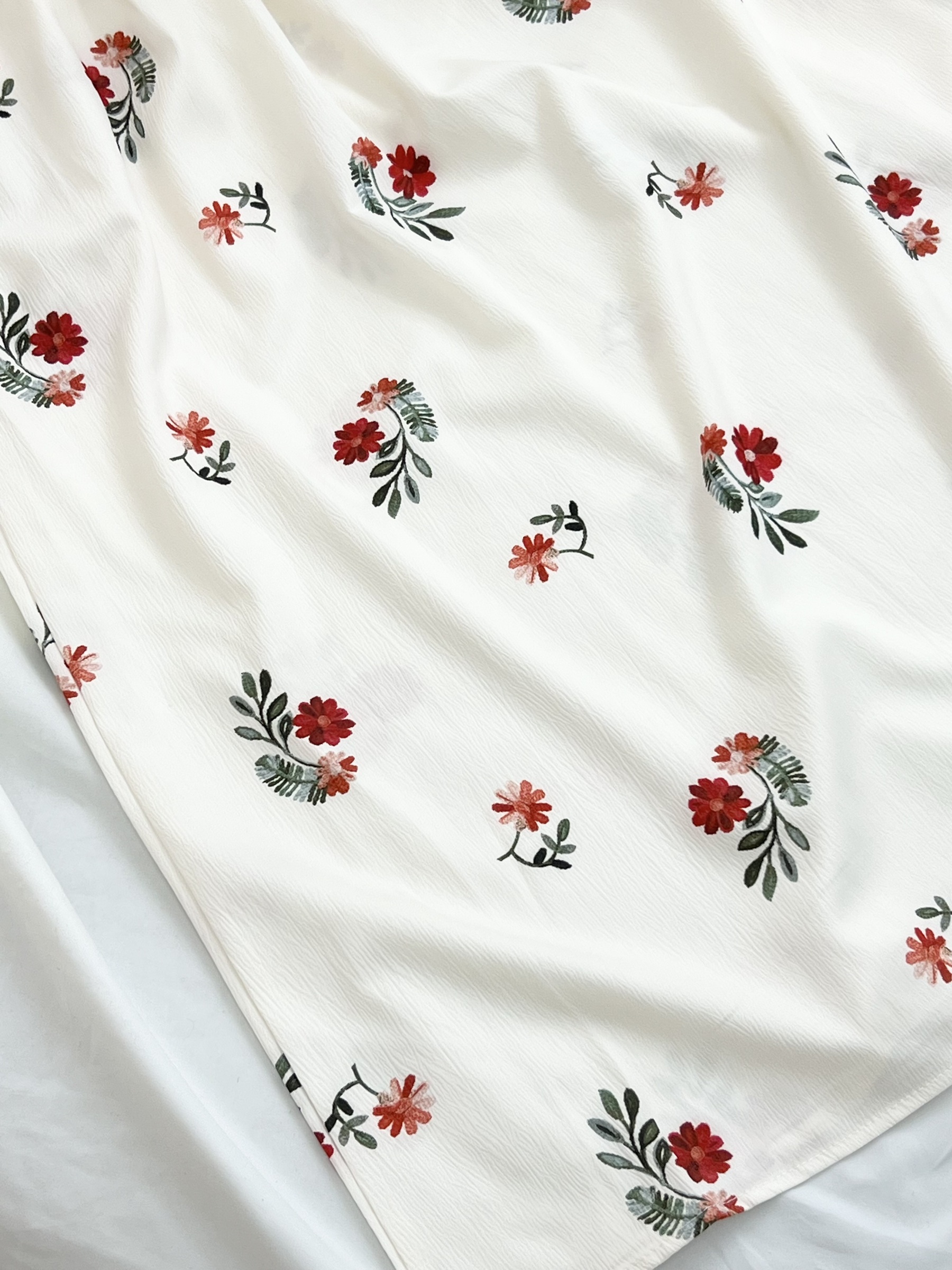 IMG_4655-1701757602669