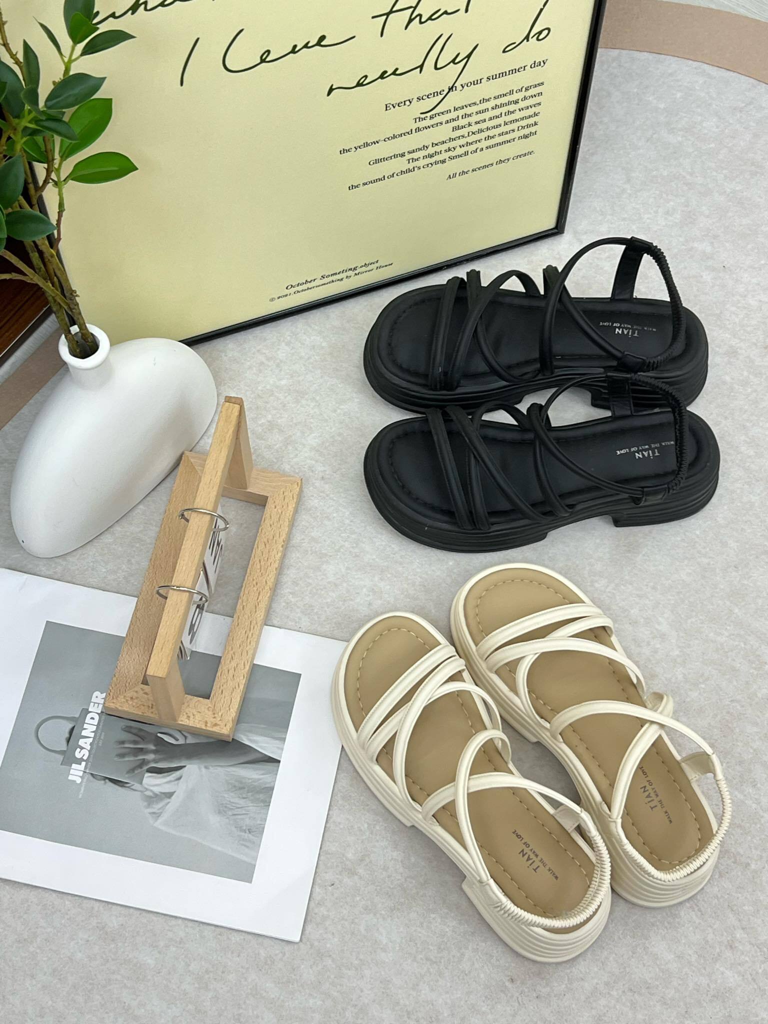 440953475_1107211373891335_1134508233123802685_n