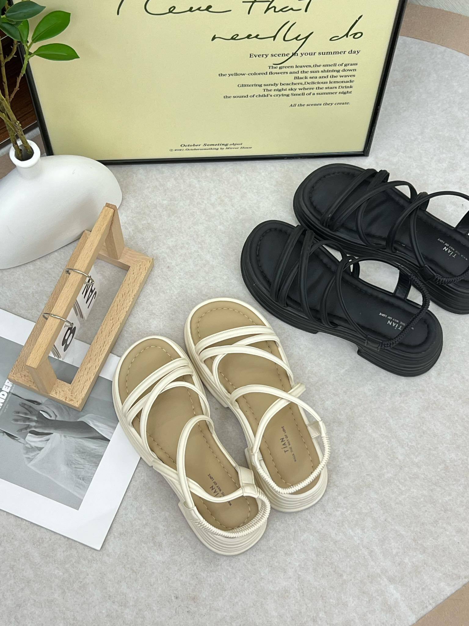 440986672_2549617748533518_7606560785953064790_n