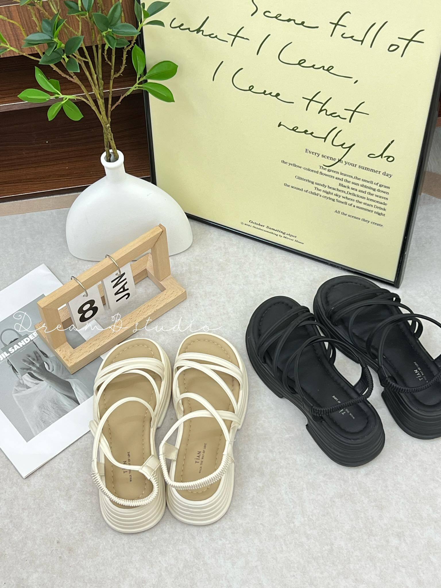 438271611_1164801077853498_5397138808127587034_n