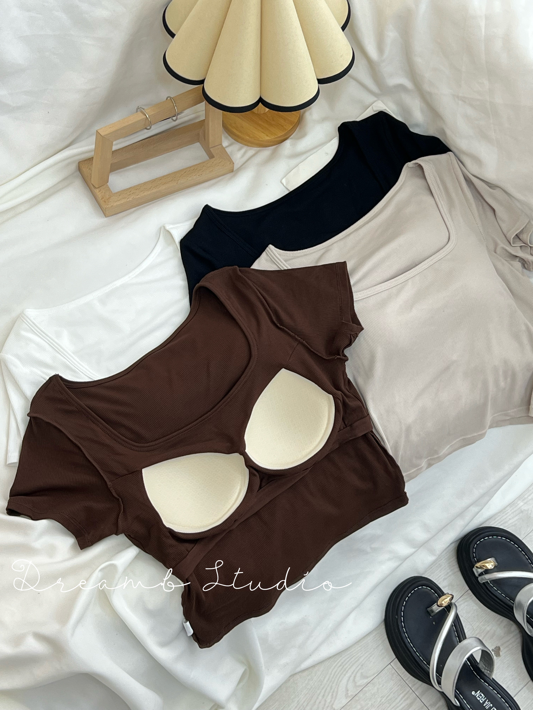 IMG_0831-1724334561122