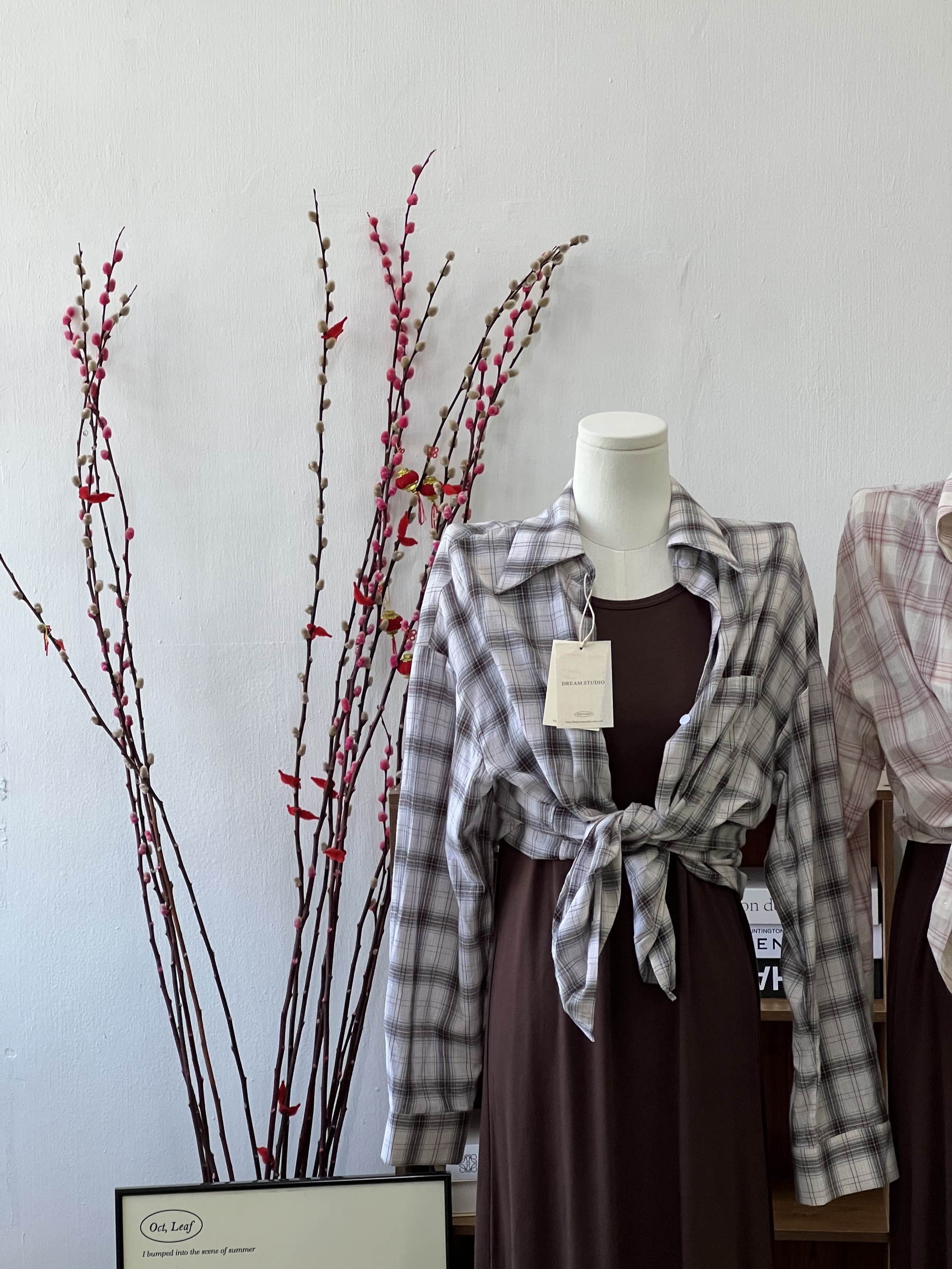 IMG_7403-1736491486242