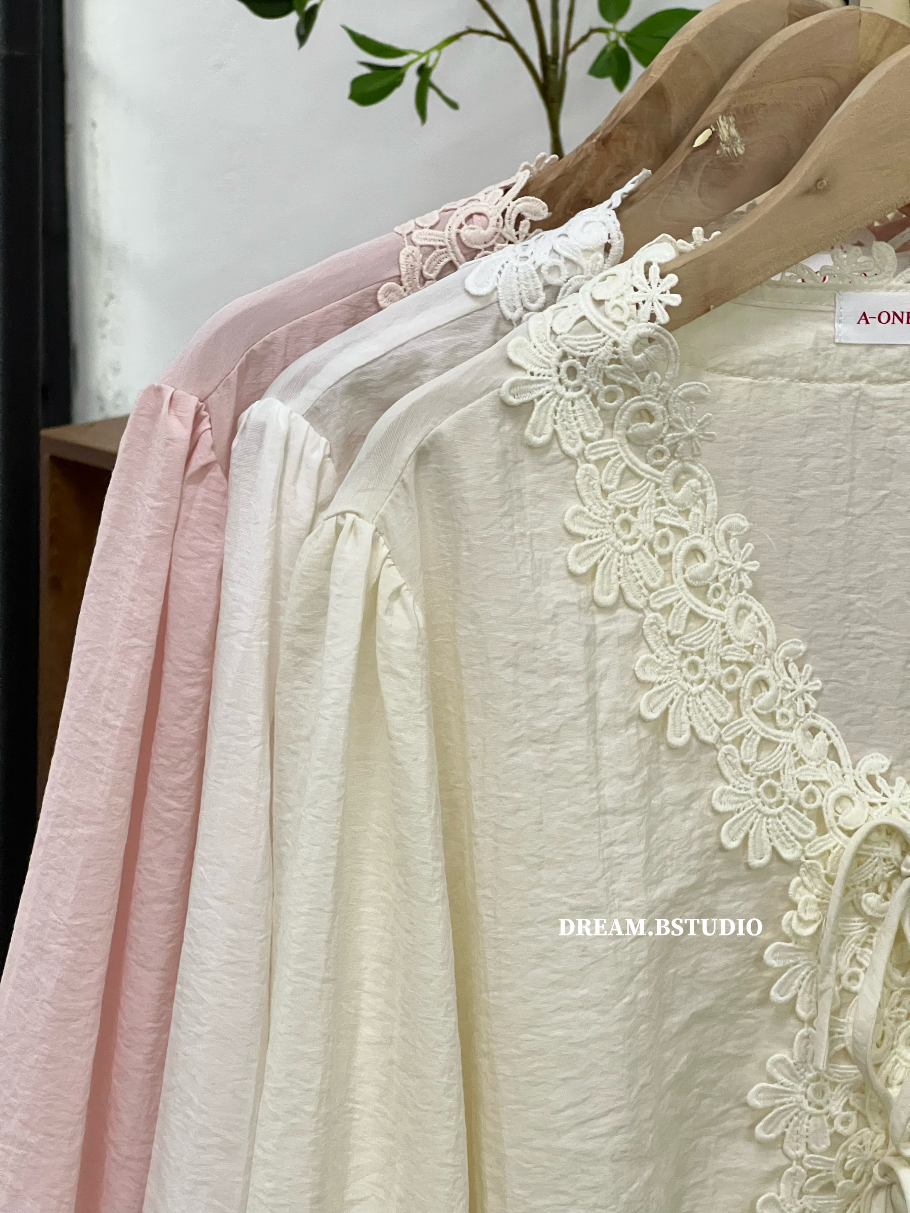 IMG_9195-1740658649084