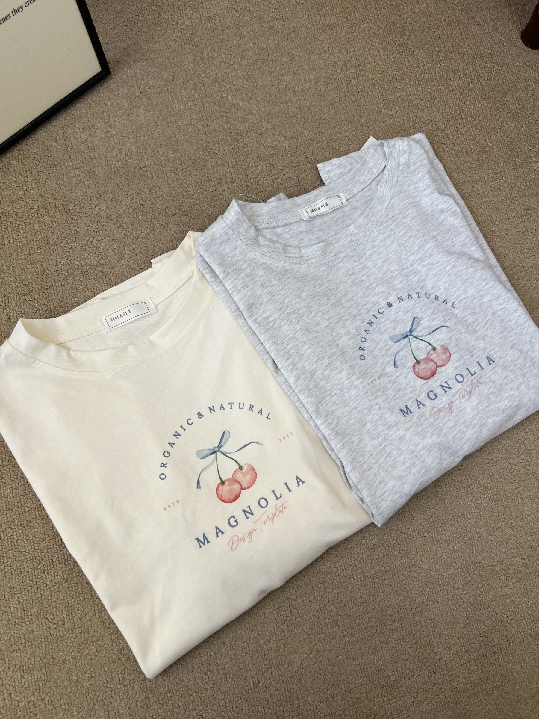 image_E67C6D93-B584-4A0B-B894-6526B4ABCB26_1769519540