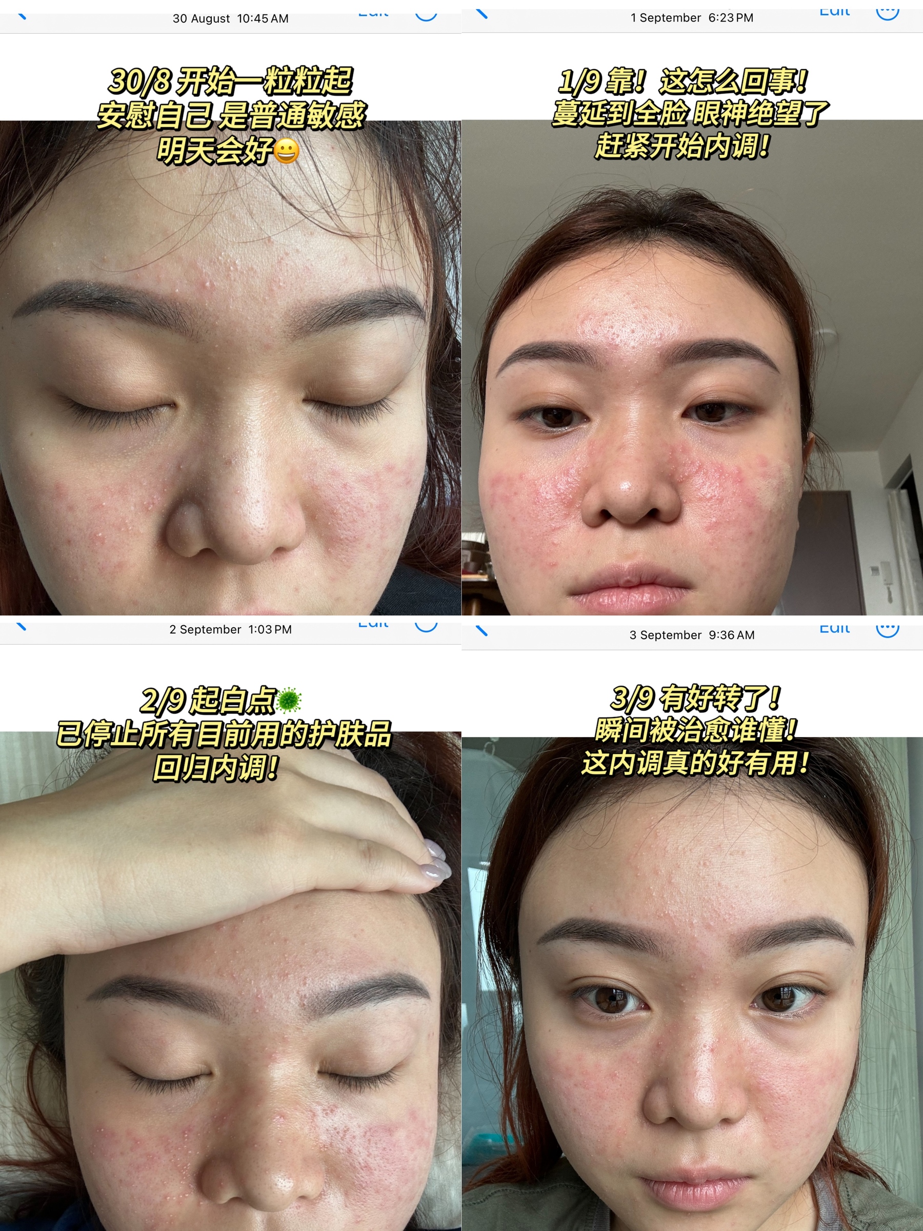 IMG_8368-1733042417234