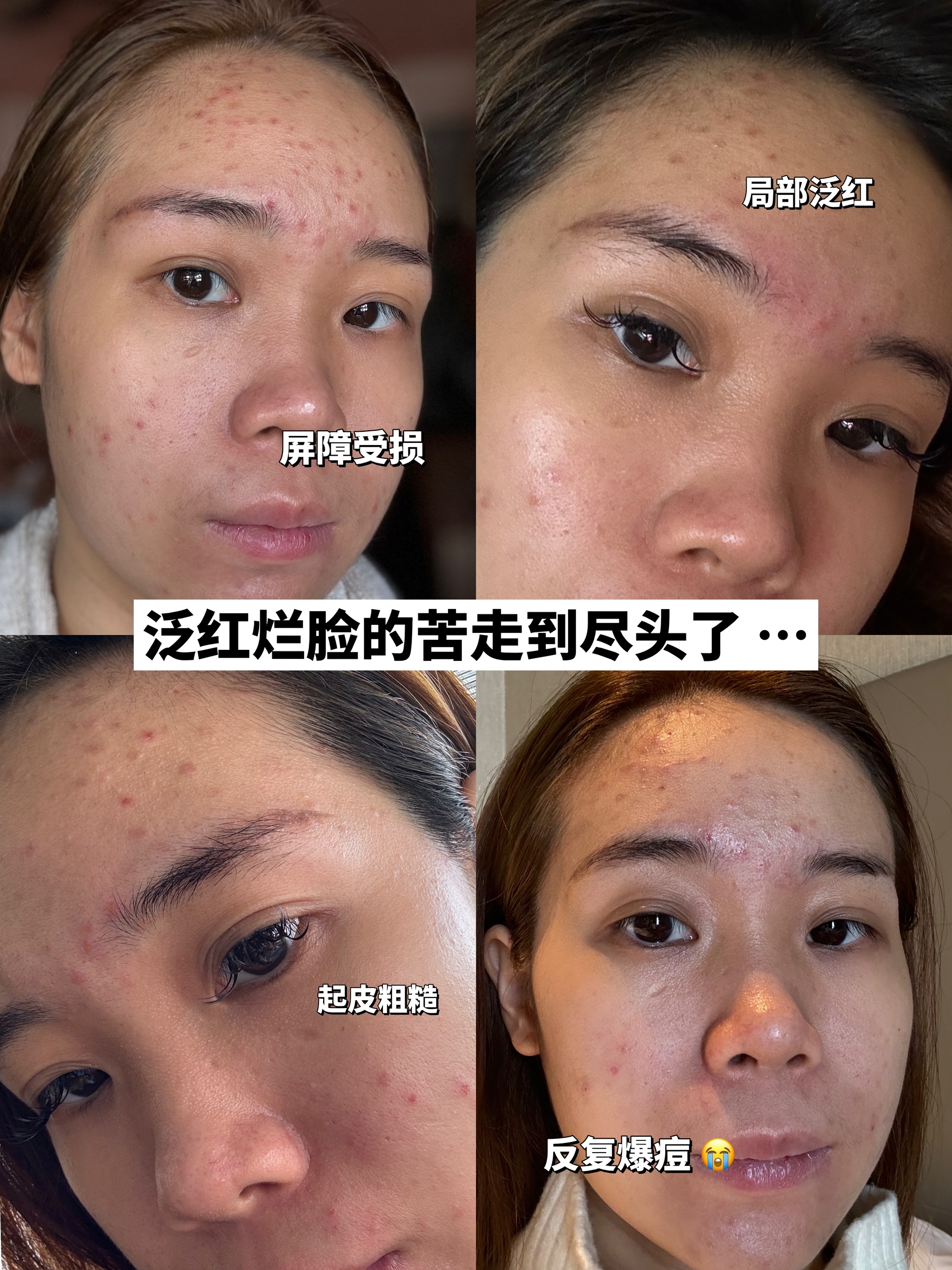 IMG_8377-1733042417250