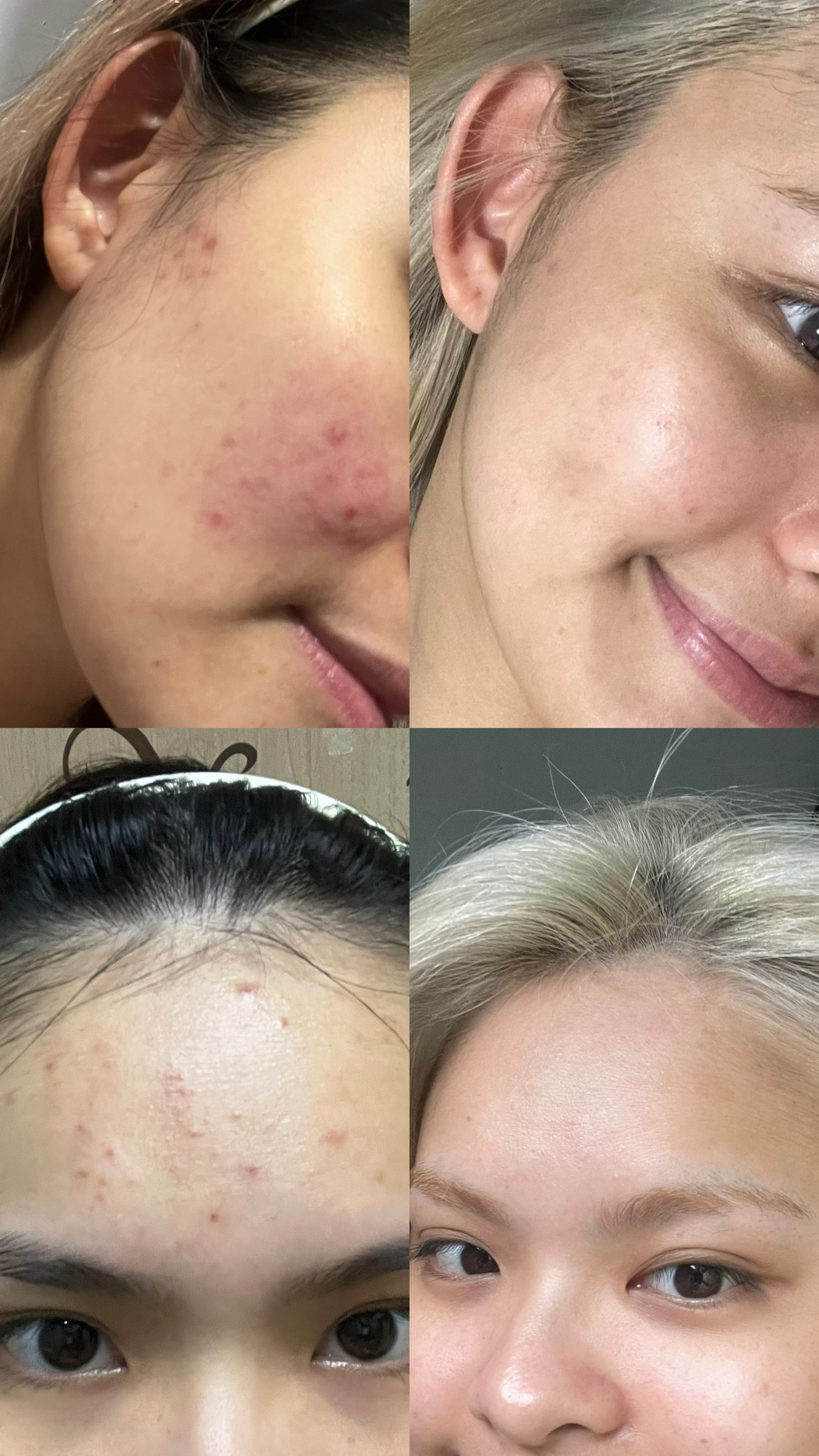 IMG_2557-1733042417279