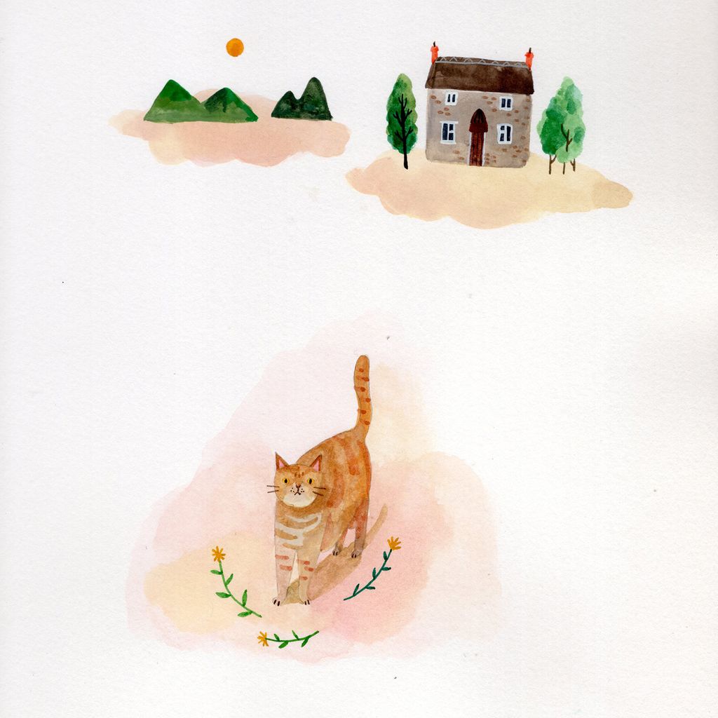 img20241212_15040663_1