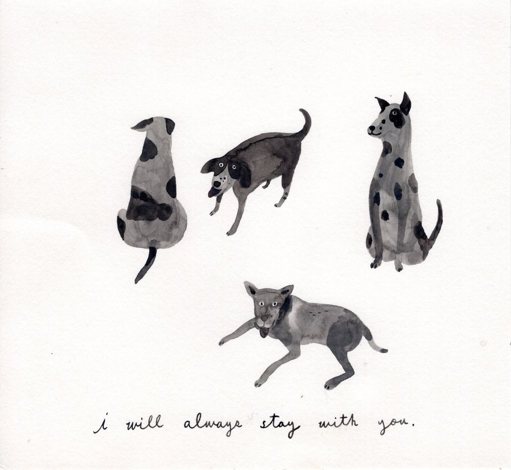 img20241212_15275248