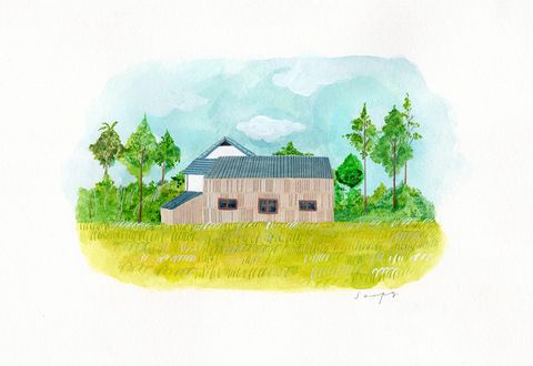 field