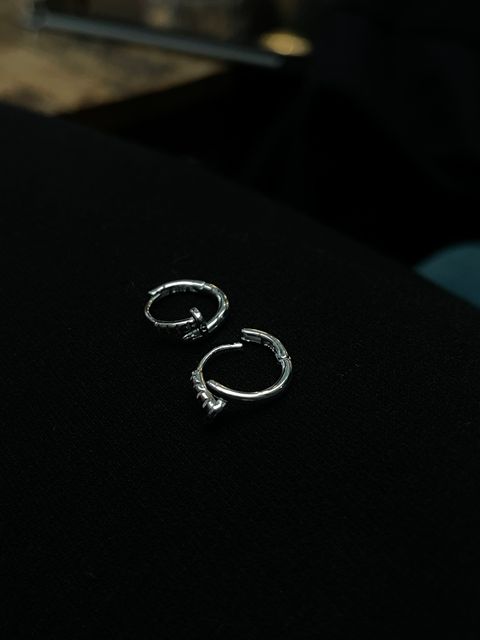 image_2E00F145-A630-49F8-A349-46FB189E695B_1765181778