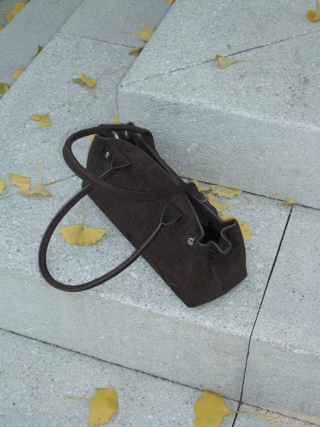 image_459A35AE-8091-4C50-8602-6CF0E4B8F572_1765183986