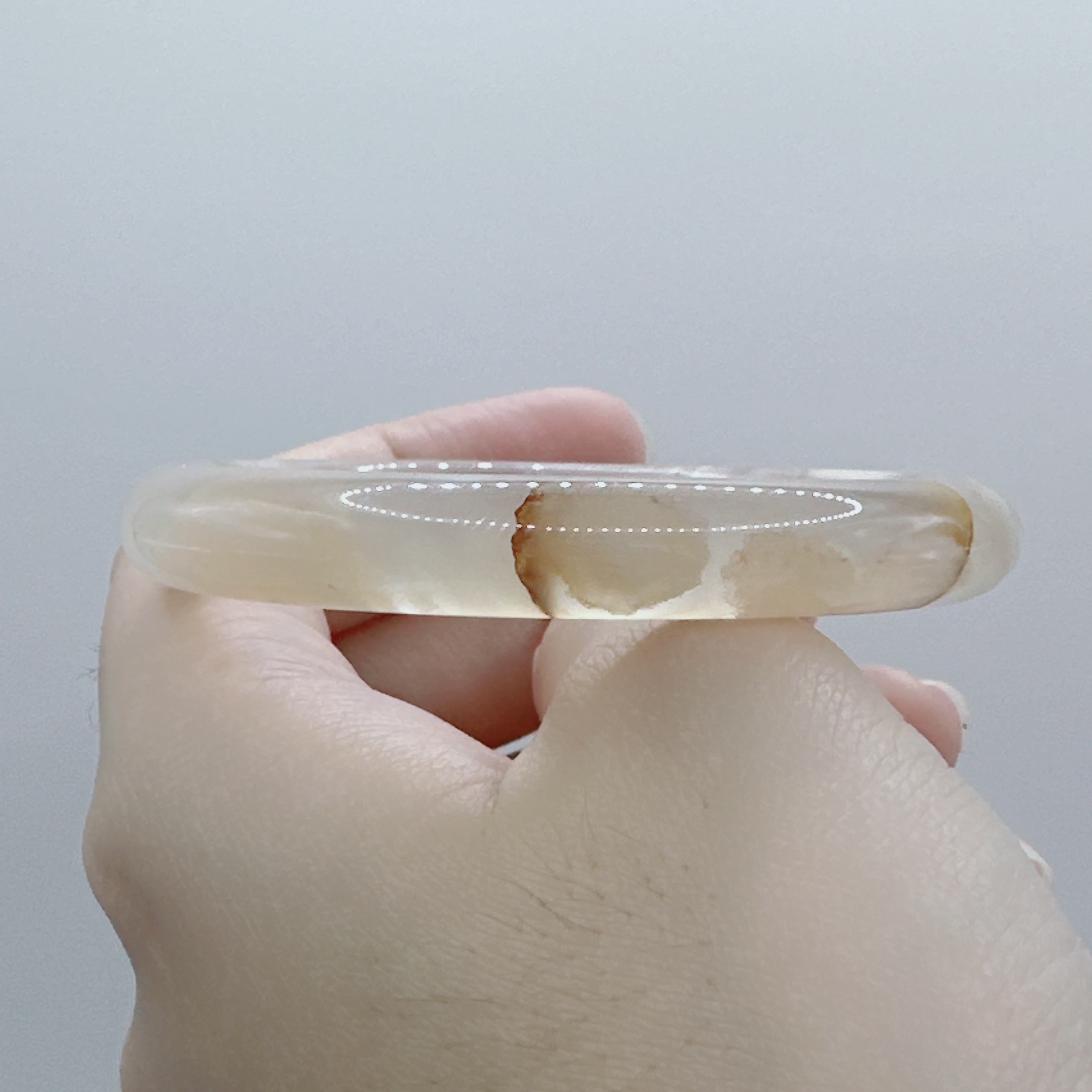 1B93A457-46AE-4770-B6D0-7AAEB032E746