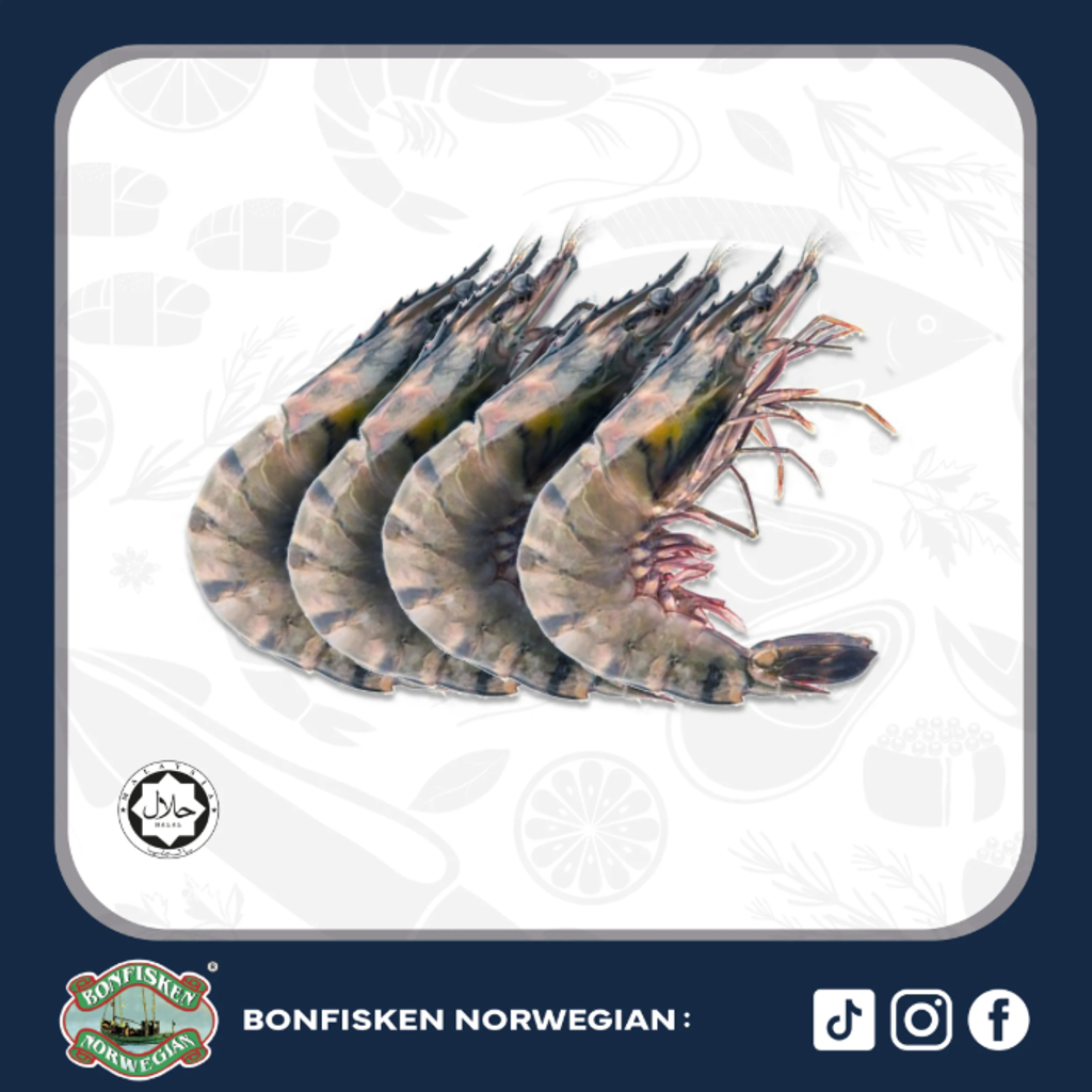 Screenshot 2026-03-12 162850