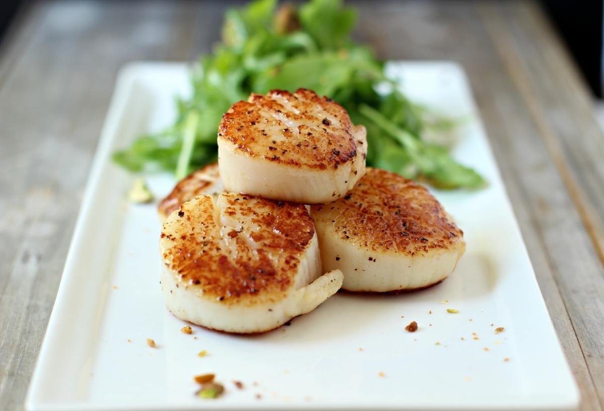 USA scallops 20/30(mediumlarge) 500g pack Bonfisken Seafood Market