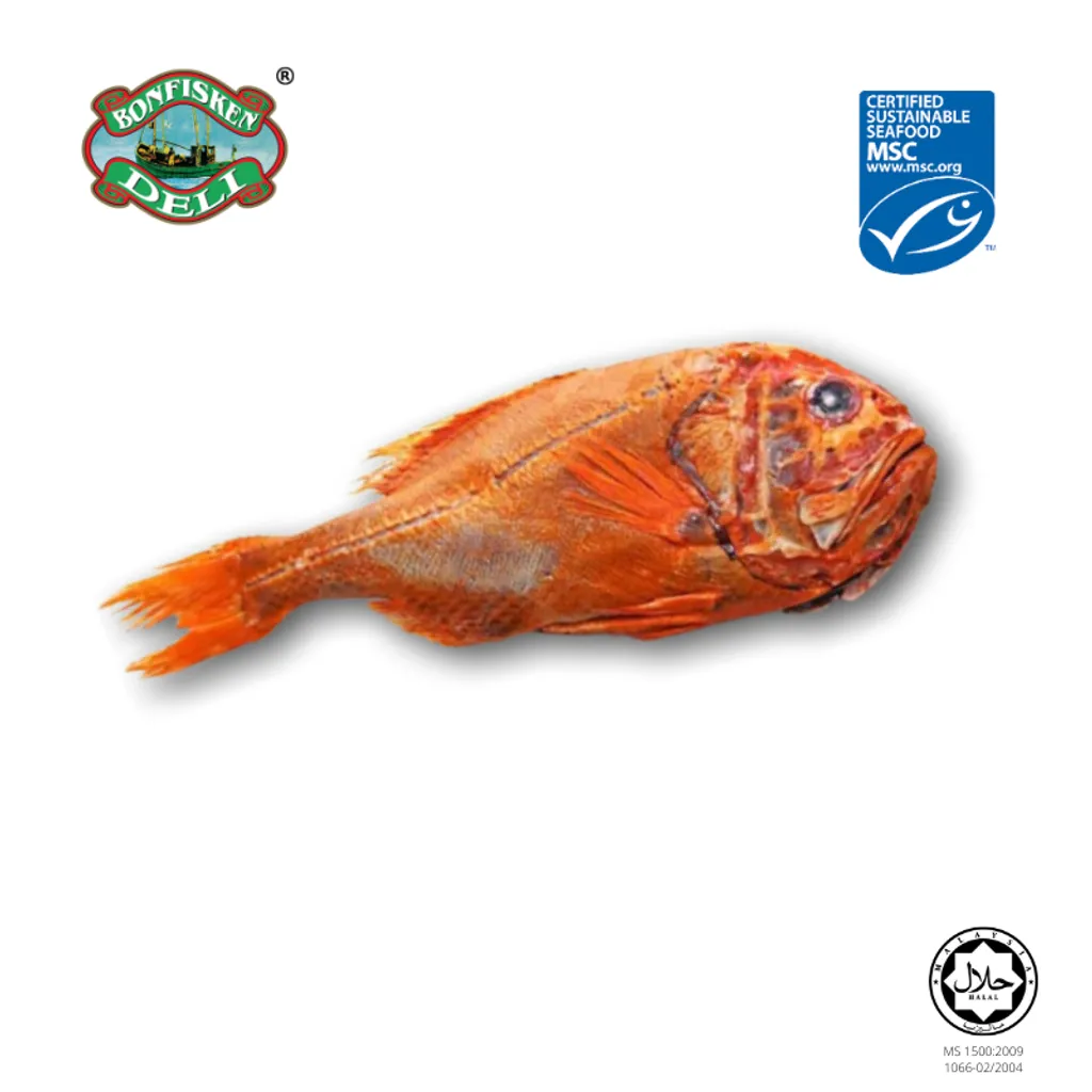 MS 1500_2009 1066-02_2004.png