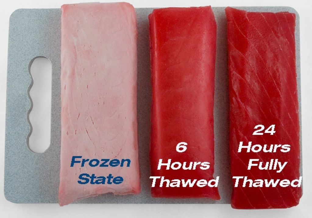 Tuna 24hrs fully thawed.jpeg