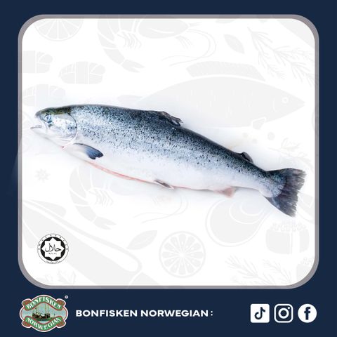 Whole Frozen Salmon ±4.5kg