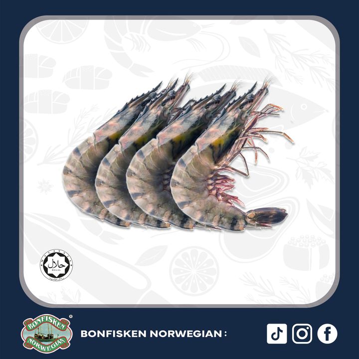 (XL) Black Tiger Prawn 16 20