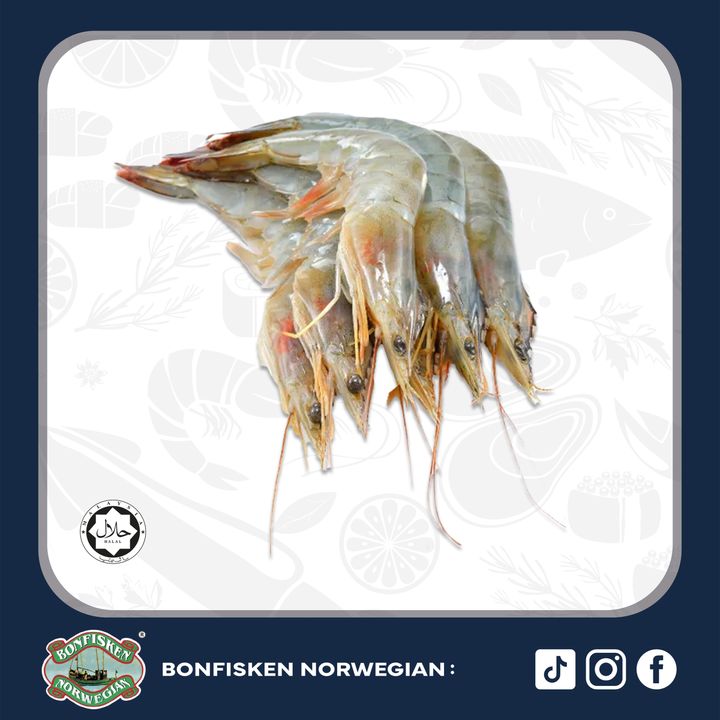 (L Size) Vannamei HOSO Prawn 3140 (Premium) 1kg