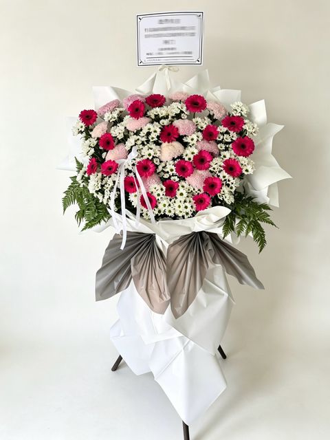 image_3CA3D964-9B01-4783-BBCC-ACA3302FD560_1780368980