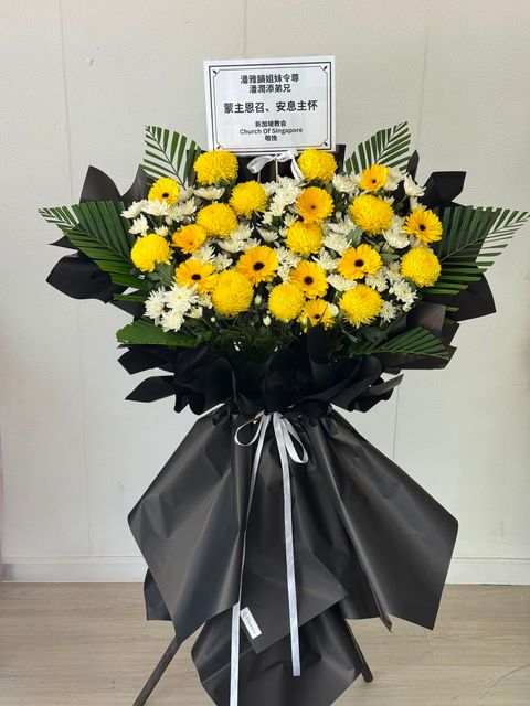 image_70AB65CC-8D08-4987-9FE8-437960A4D328_1780984475