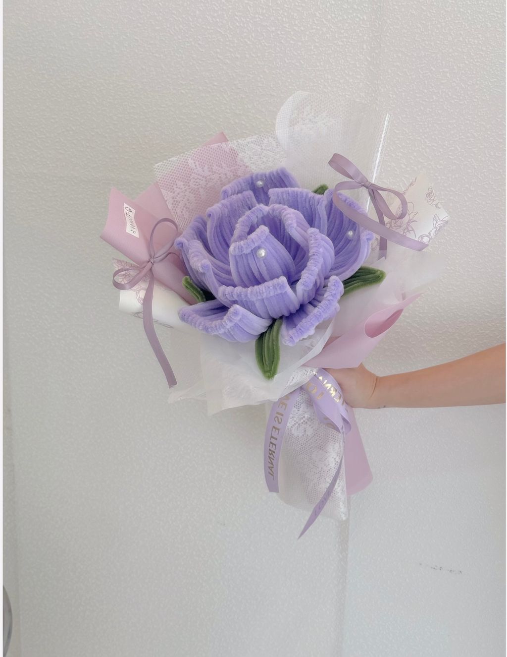 IMG_7524-1737961924984