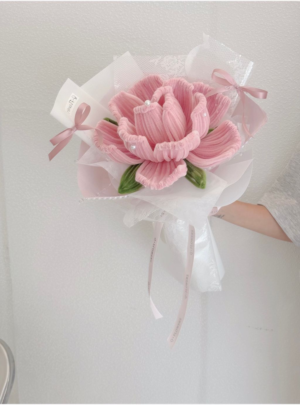 IMG_7520-1737961924931