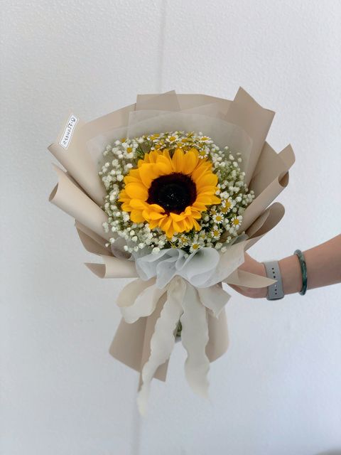 image_4302E100-160A-4E20-9283-864EE59946C5_1762795021