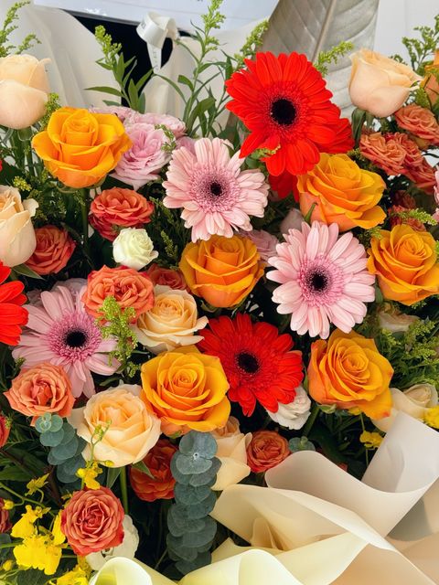 image_B5AC556A-21DA-4ED5-83C2-4BB9ACB81817_1769601760