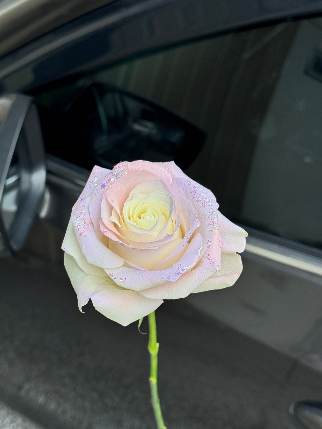 image_267F0BEC-3FBF-4689-B04F-B99F18589E5C_1771071305