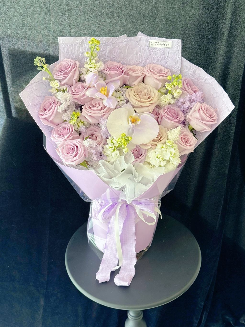 image_6DE72924-A249-4379-9161-EF0EB8497265_1771736830