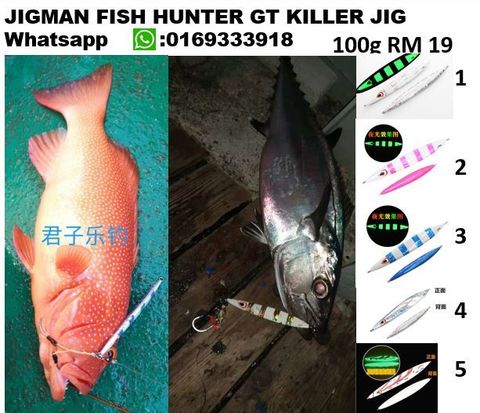JIGMAN FISH HUNTER GT KILLER JIG ccccd.JPG