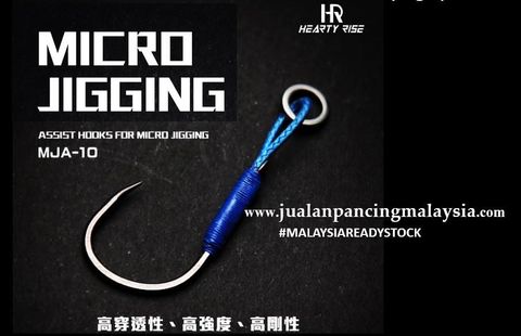 Hearty Rise ASSIST HOOKS FOR MICRO JIGGING MJA-10.JPG