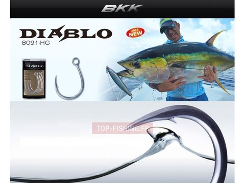 BKK Lone Diablo Inline Hooks 8091-HG Jigging  Hook CCCCCCC.jpg