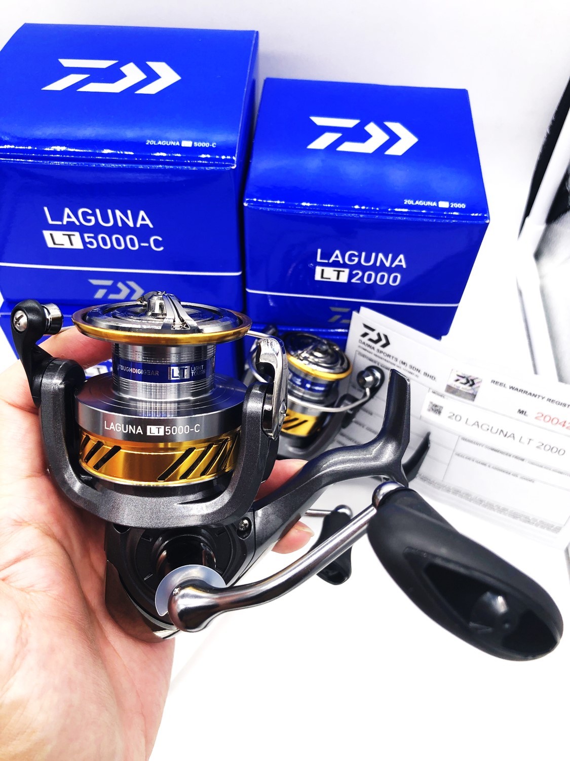 daiwa laguna lt