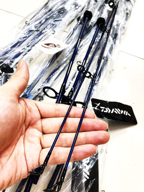 Daiwa 2021 D-BLUE Spinning Rod (Price +PVC) SSXXXXX.jpg