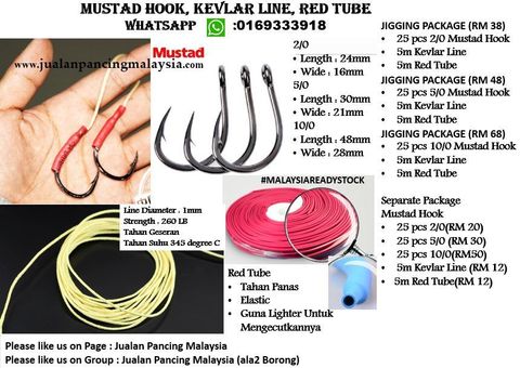 Mustad hook, Kevlar line, red tube.JPG