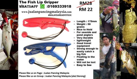 The Fish Lip Gripper (RM30).JPG