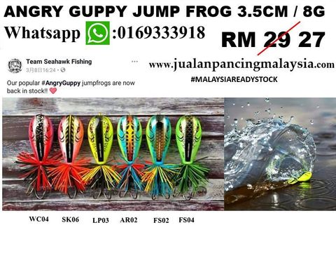 ANGRY GUPPY JUMP FROG.JPG