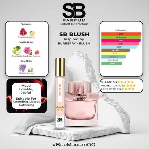 SB BLUSH MINI-min