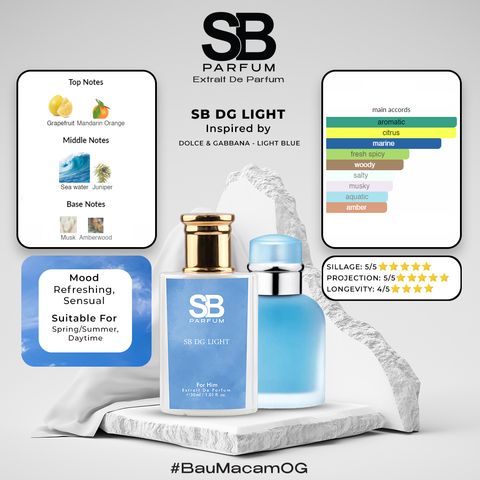 SB DG LIGHT WEB