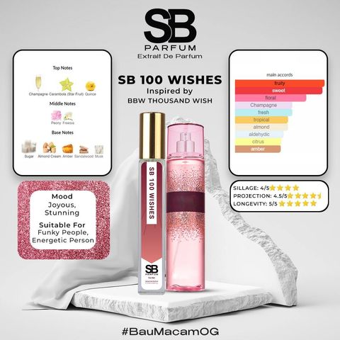 SB 100 WISHES MINI WEB-min
