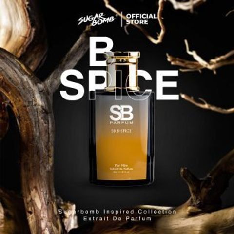 B SPICE
