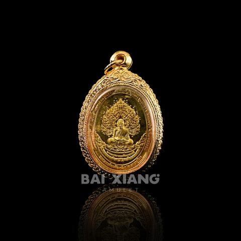AGDCA0101阿百佳-背面