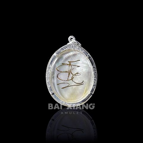 古巴炳斑斕貝_鑽_背