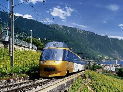78063256