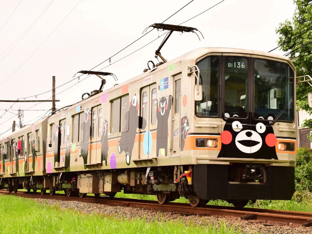 82746622