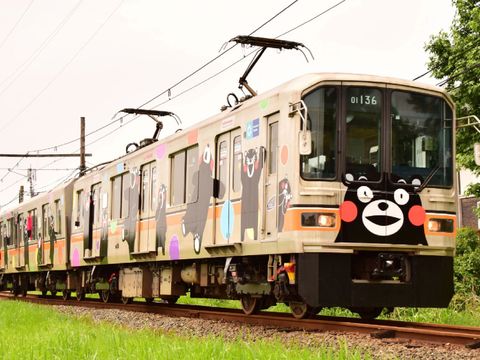 82746622